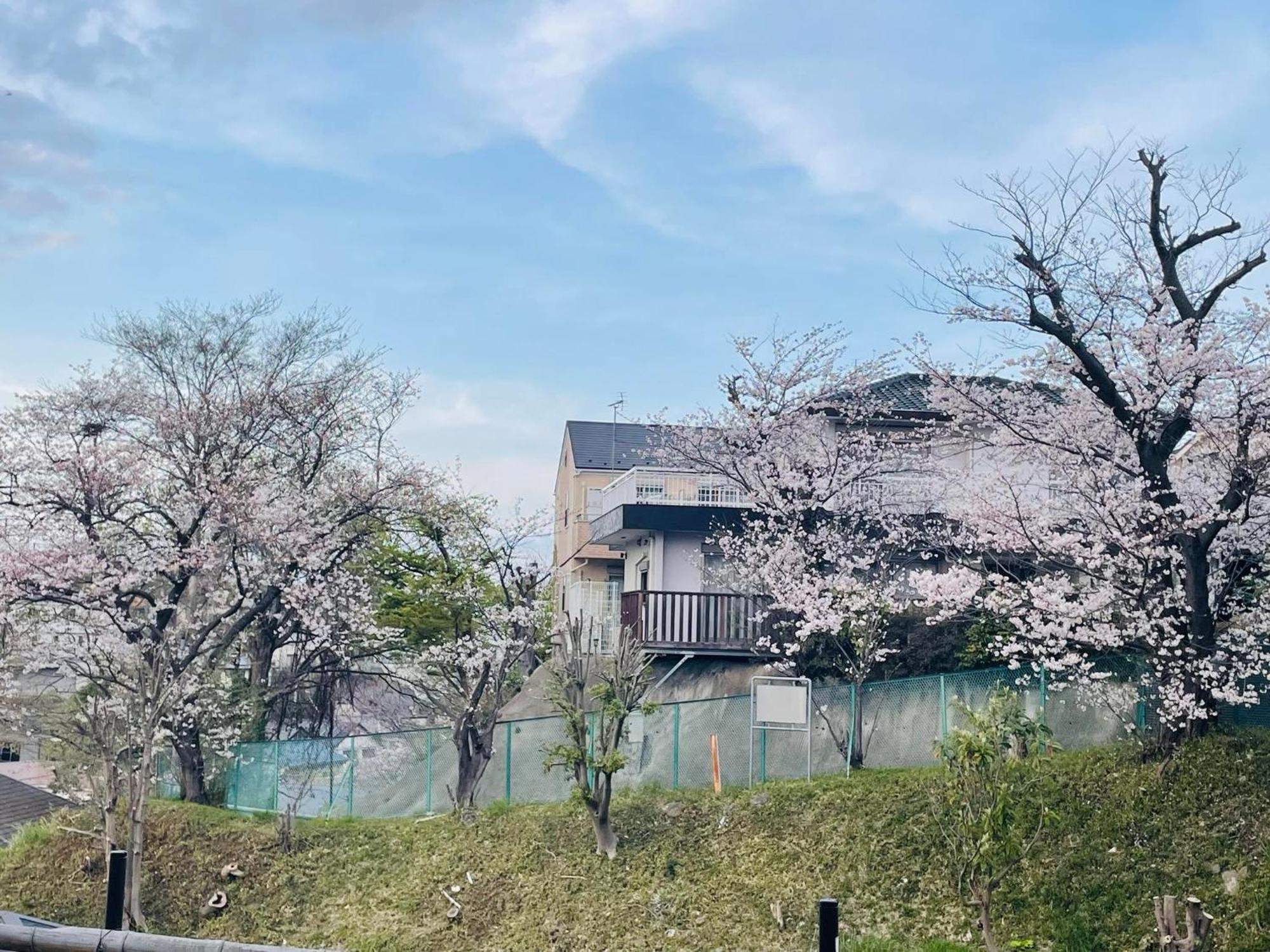 ソフィアハウス横浜 -女性専用シェアハウス- Sopfia House Yokohama For Women Only Shared House酒店 外观 照片